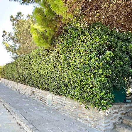 Villa Wonderful Sea View Stintino
