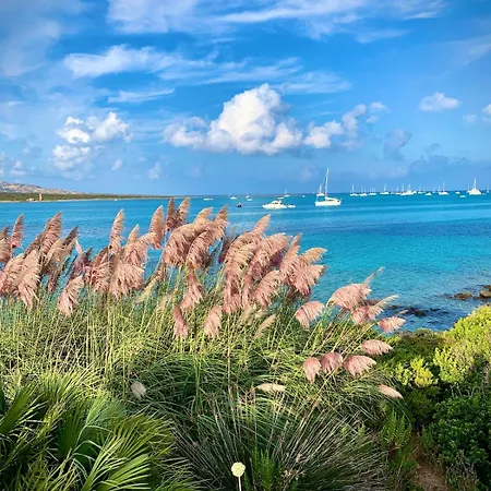 Wonderful Sea View