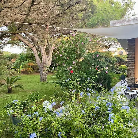 Villa Wonderful Sea View Stintino